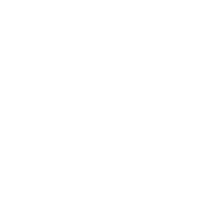 Logo DR